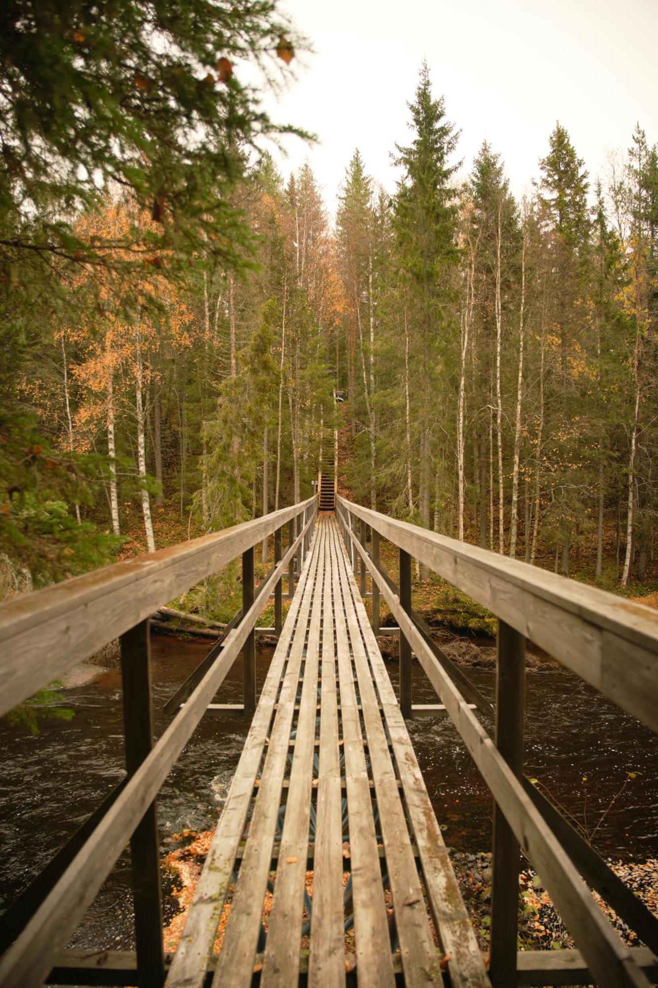 Hotel Langforsen Glamping & Lapland Experience Lapptrask Zewnętrze zdjęcie