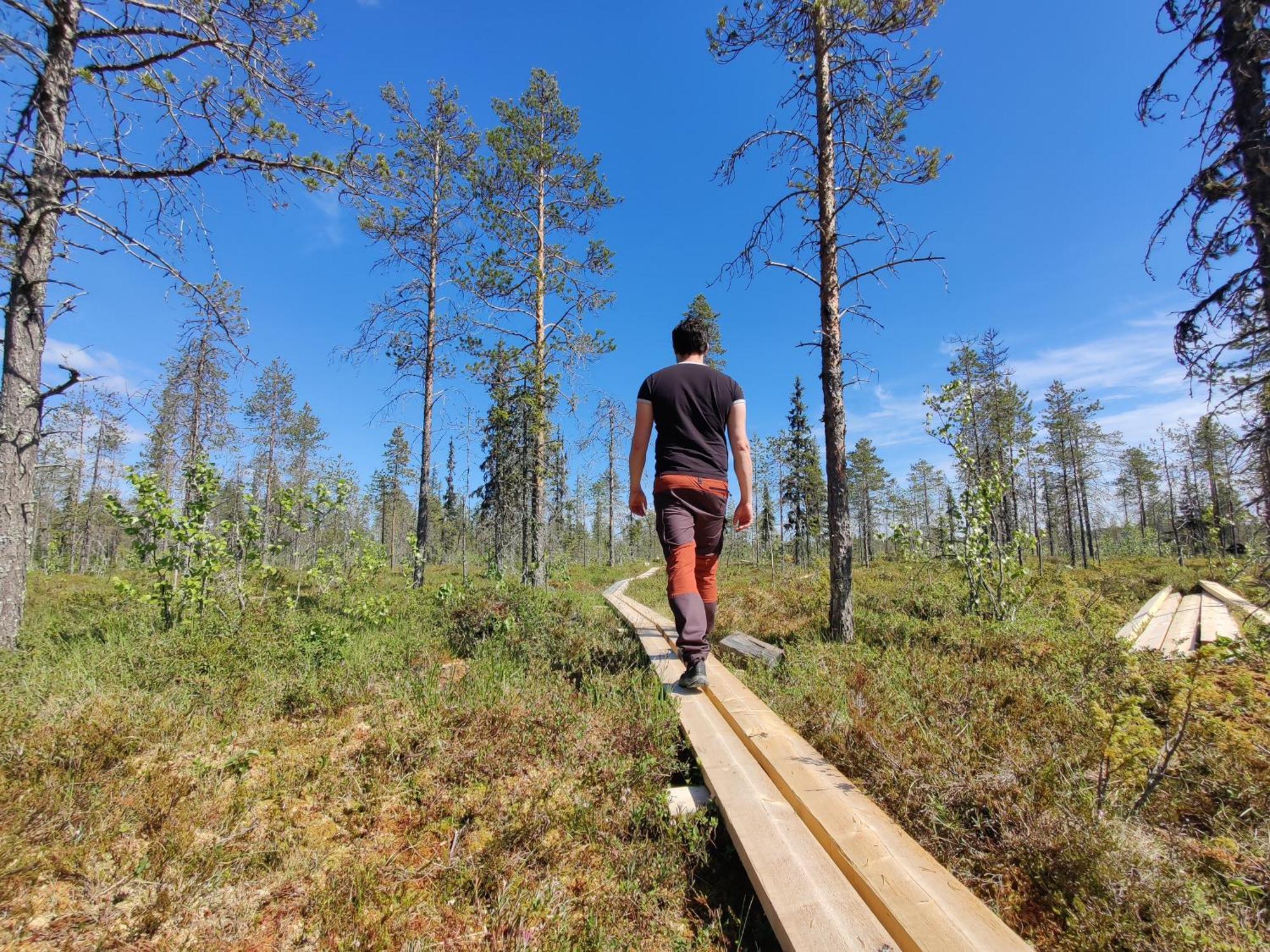 Hotel Langforsen Glamping & Lapland Experience Lapptrask Zewnętrze zdjęcie