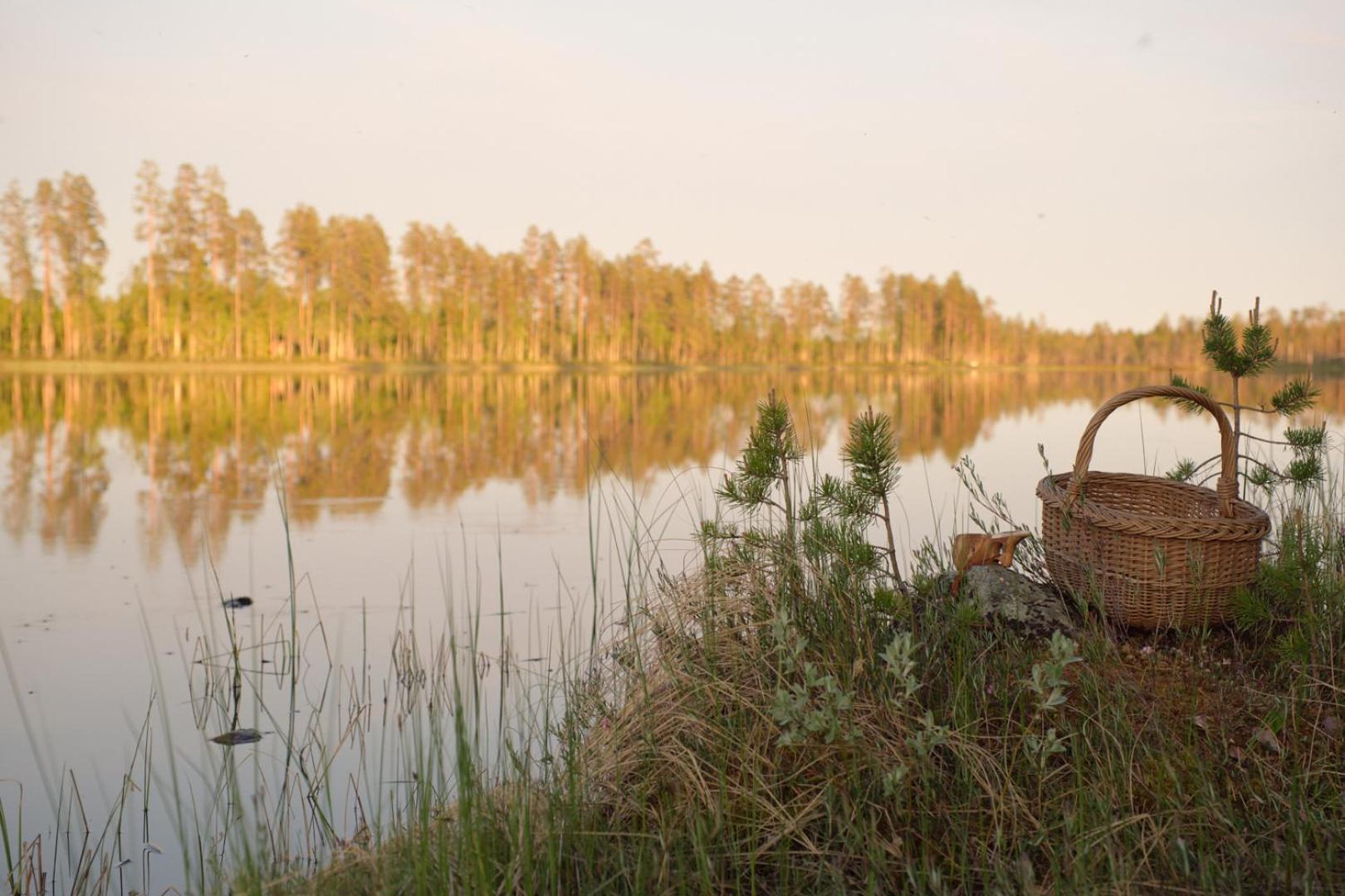 Hotel Langforsen Glamping & Lapland Experience Lapptrask Zewnętrze zdjęcie