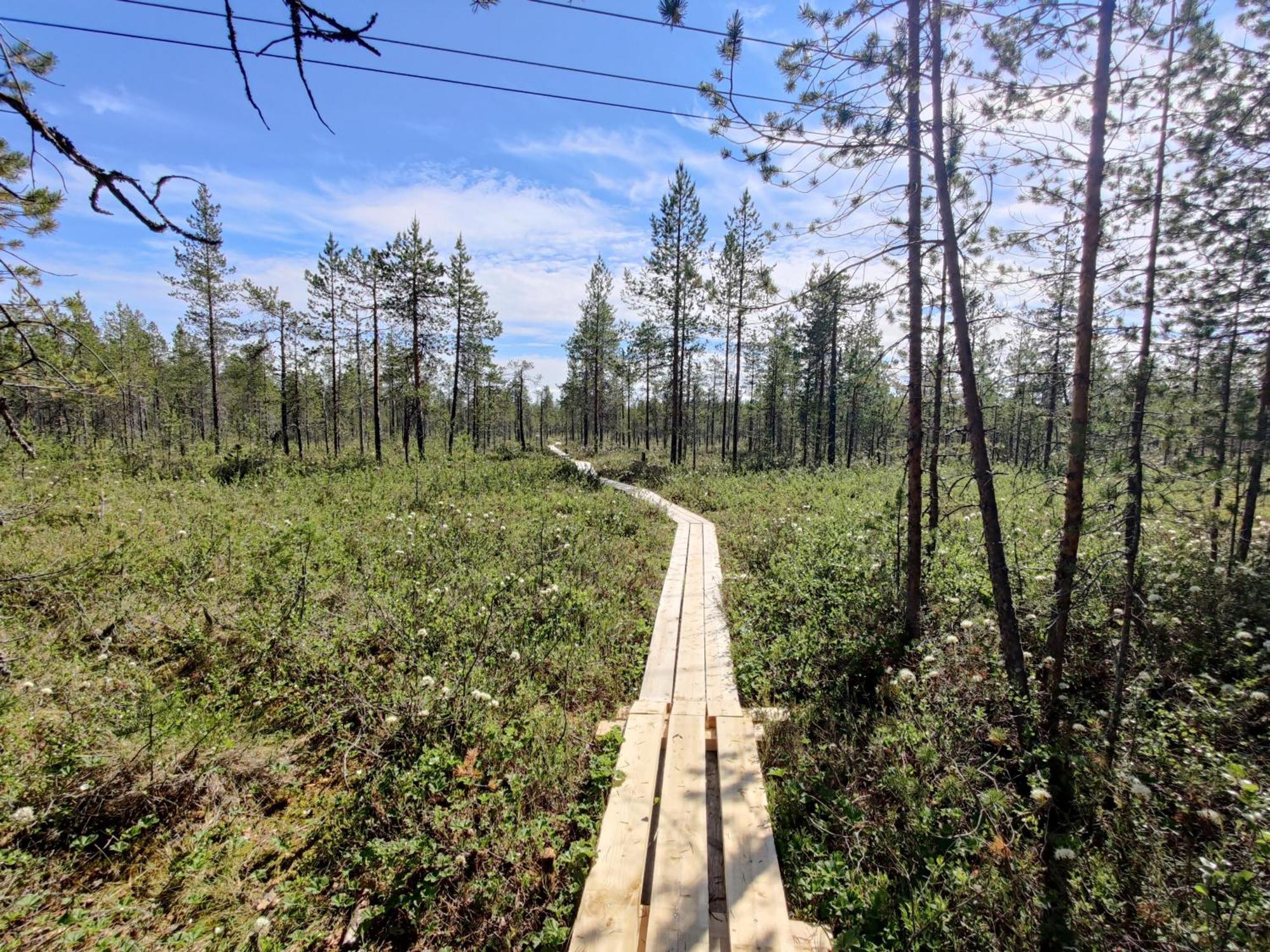 Hotel Langforsen Glamping & Lapland Experience Lapptrask Zewnętrze zdjęcie