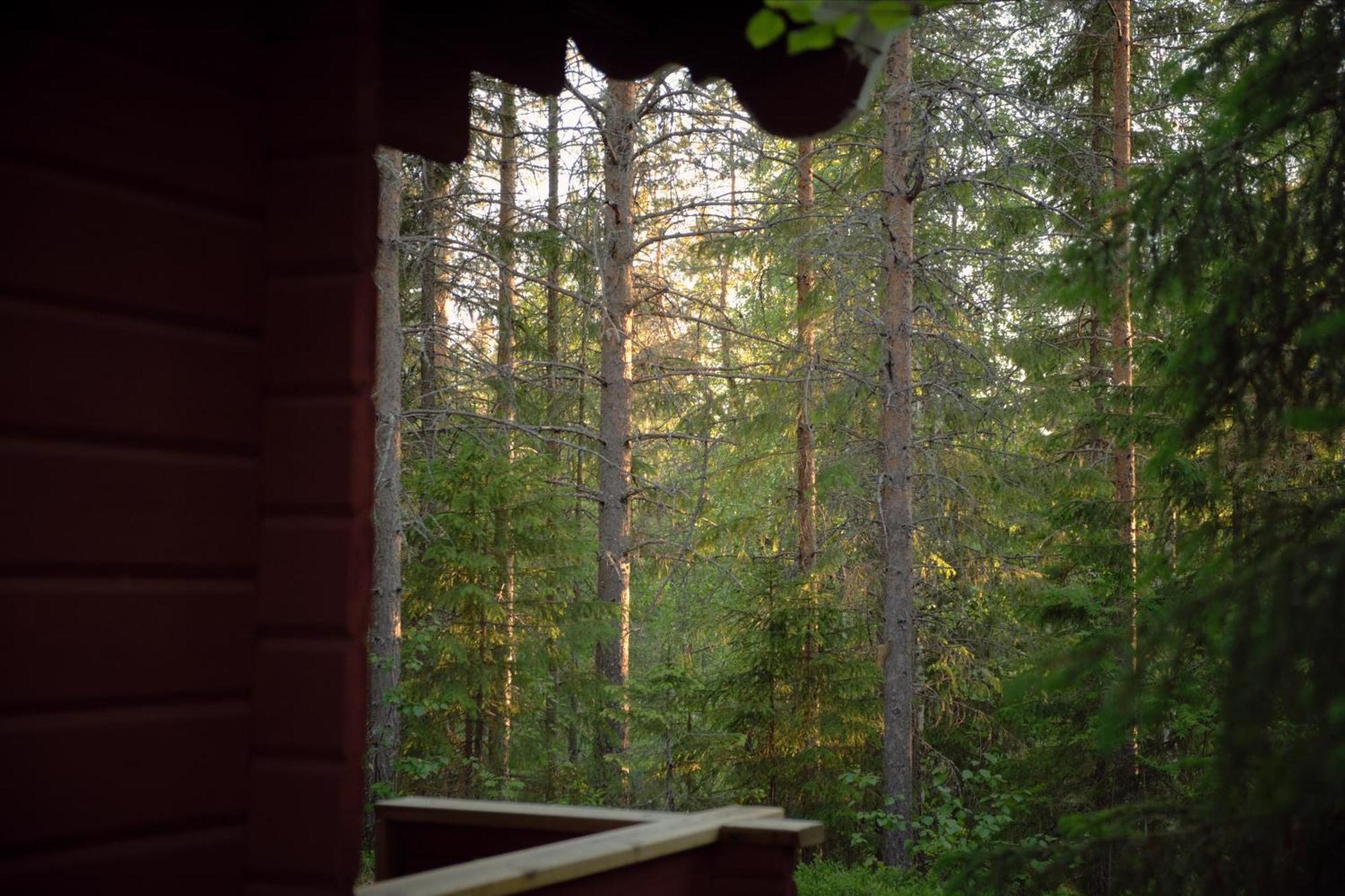Hotel Langforsen Glamping & Lapland Experience Lapptrask Zewnętrze zdjęcie
